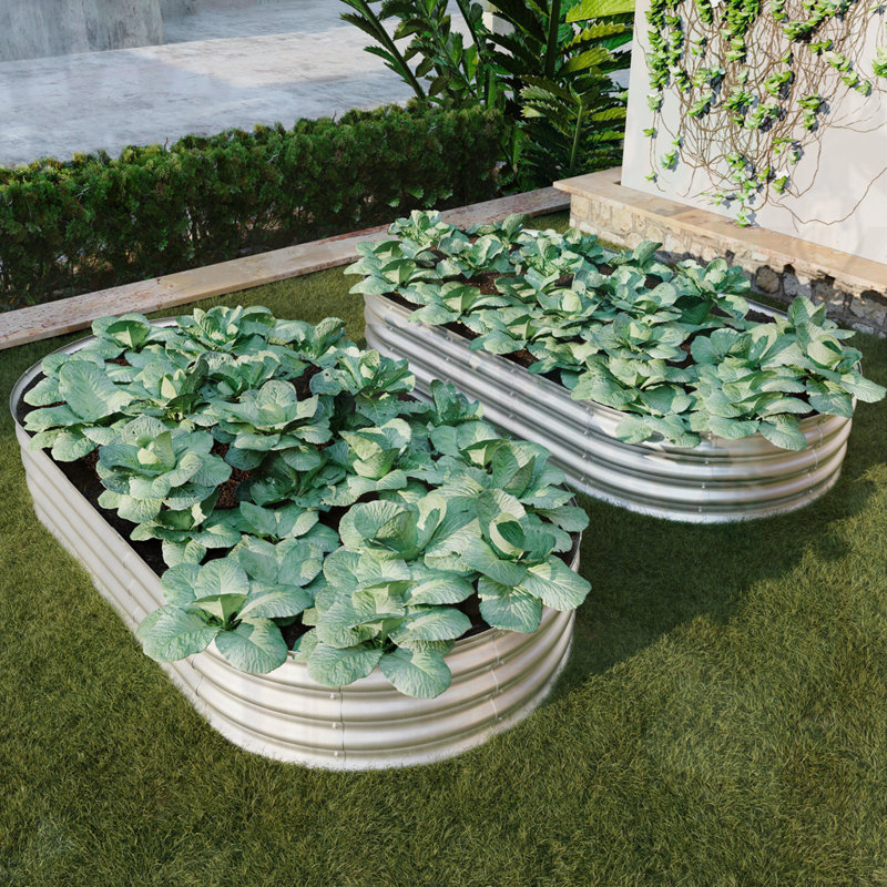 Galvanized Planter Raised Garden Beds, 12" H x 72" W x 36" D