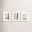 Again in Green, Set of 3 by Driftway Studio - Framed Wall Art-295797059-295797063