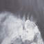 « ultimate love », impression sur toile grise