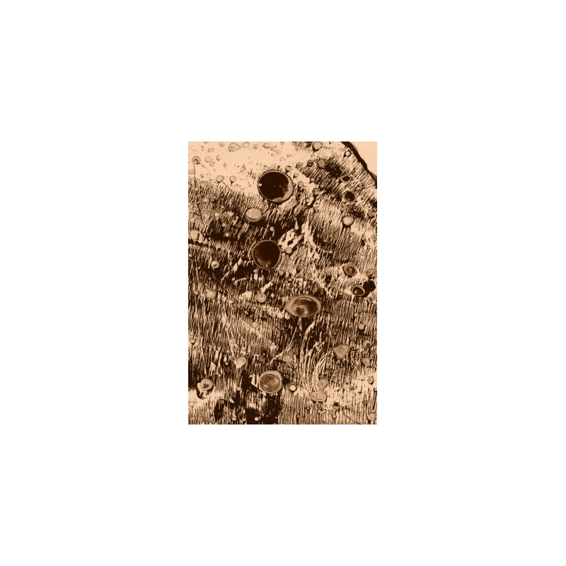 Wrapped Canvas Print, 76.2 cm H x 50.8 cm W