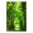 " Green Forest Path "