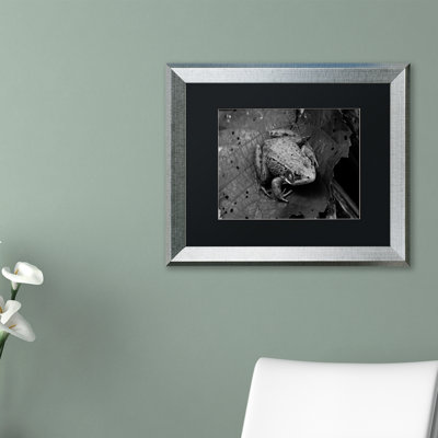 Joden Northern Green Frog' by Jason Shaffer Framed Photographic Print