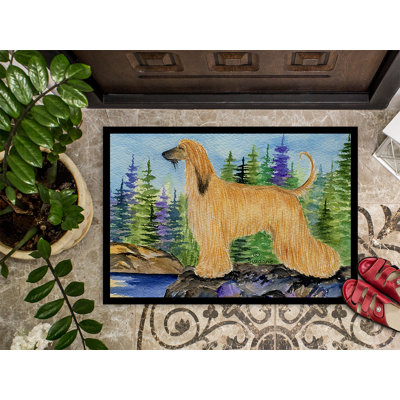 Non-Slip Indoor Doormat