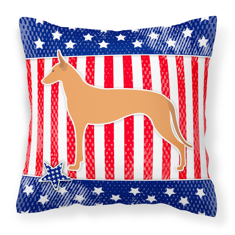 Coussin intérieur/extérieur Patriotic, H 18 po x l 18 po x P 3 po