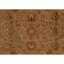 Oriental Area Rug
