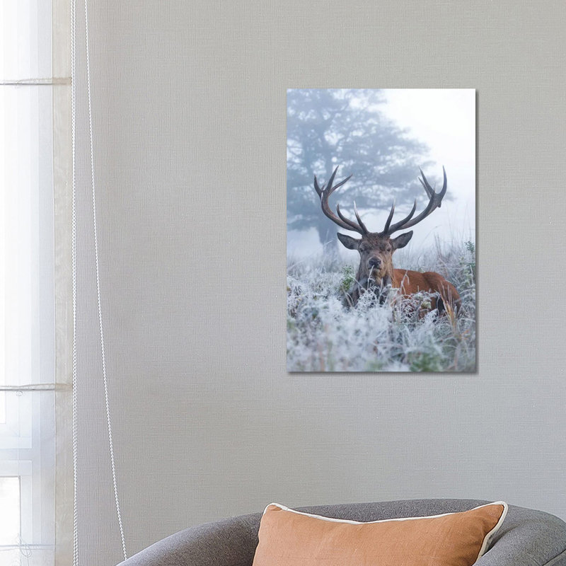 Frosty Stag 1 Piece Wrapped Canvas Painting