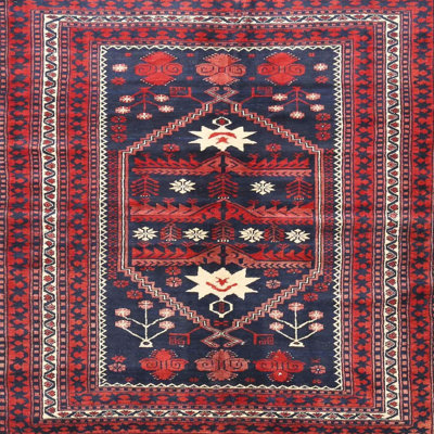 Southwestern Indoor Rug