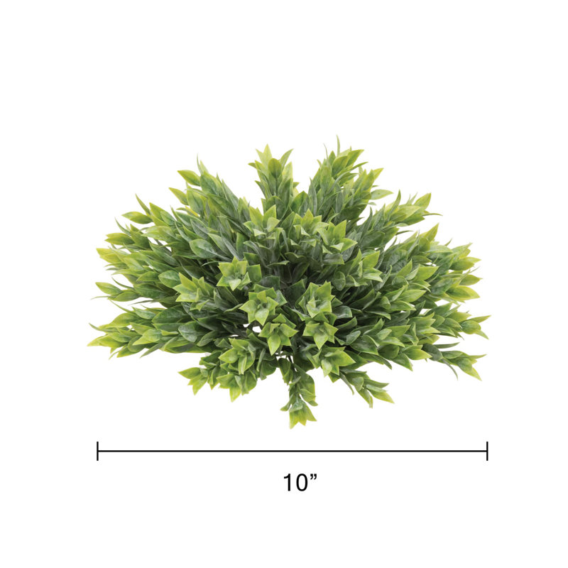 5 plantes