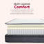 14 po Matelas hybride, mousse multicouche et matelas à ressorts ensachés dans un lit