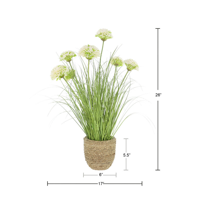 Dahlias and Grass in Rope Planter