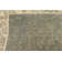 Mosely Oriental Indoor Rug