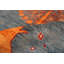 Hand-Knotted High-Quality Area Rug