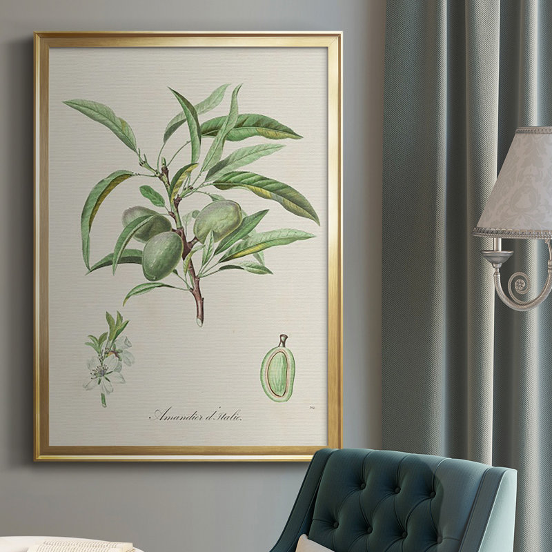 Amande antique botanique III, Or, H 36,5 po x l 26,5 po x P 1 po