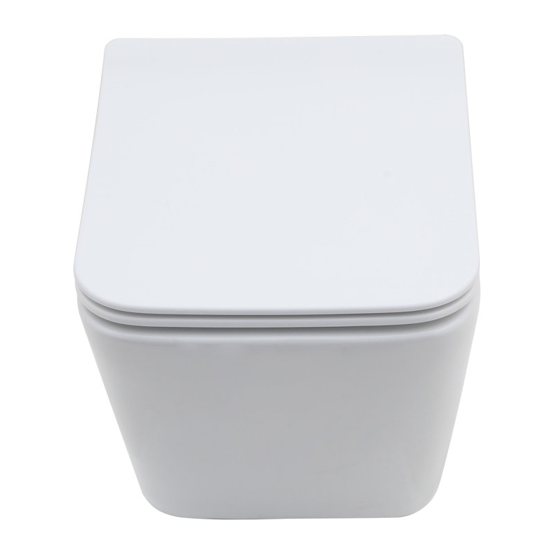 Toilette murale une pièce Rainlex RX-T41W