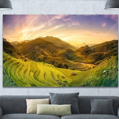 Champ de riz sur un paysage en terrasses