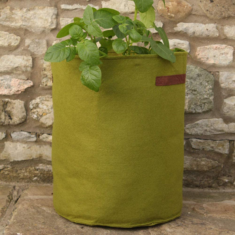 Arionah Pot Planter