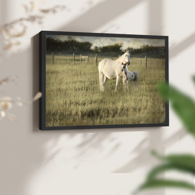Mare and Colt -Framed Print - Restickable