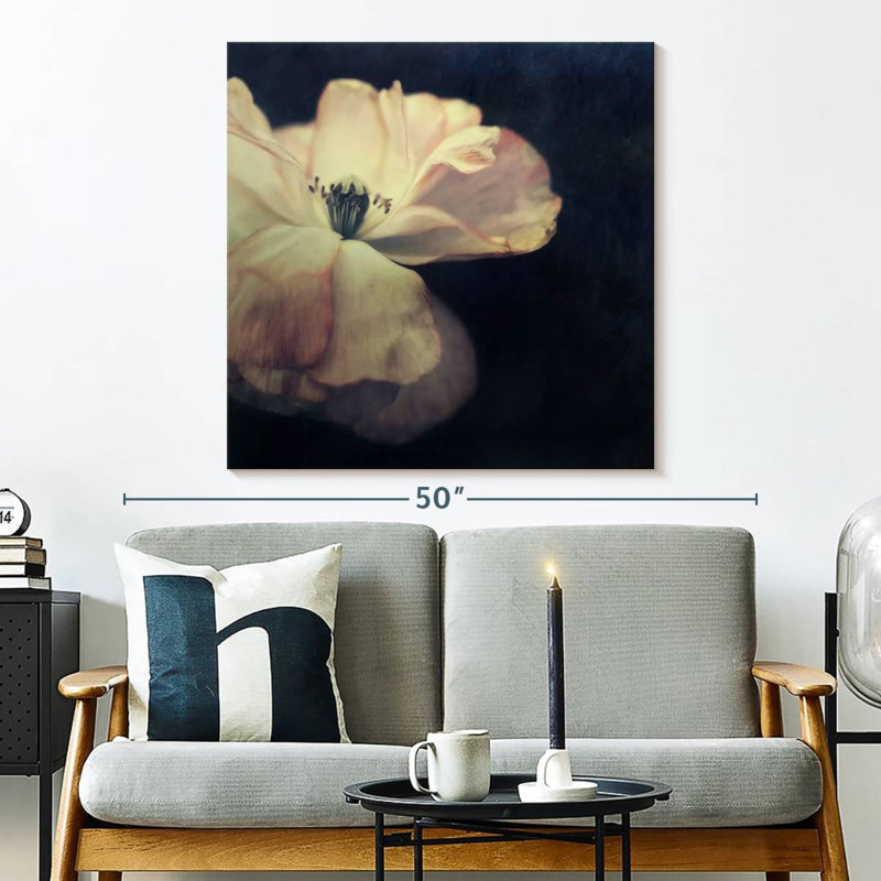 Harnek lumière dans la fleur sombre