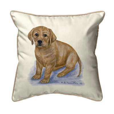 Lodge Outdoor Cushion