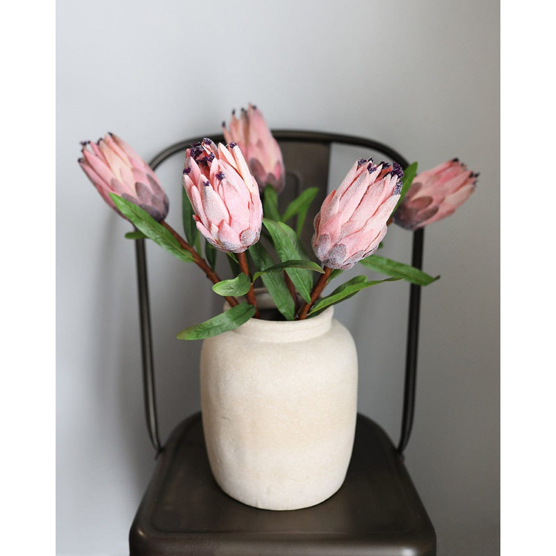 Pink Mink Protea 29"