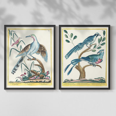 «Pastel Birds V-Premium», reproduction encadrée prête à accrocher - aucun clou requis - aucun clou requis