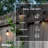 30-ft Outdoor 12 - Bulb Standard LED String Light (End to End Connectable)