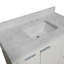 Ensemble de meuble-lavabo simple 42 po Anastazia-1897455357