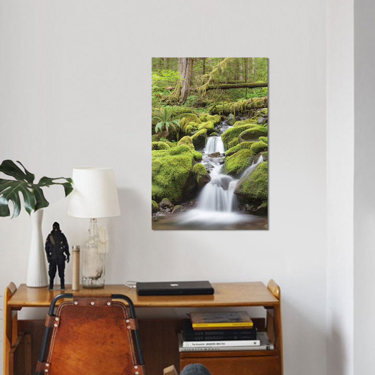 « cascade stream, sol duc river valley, olympique national park, washington, usa », reproduction de photo sur toile