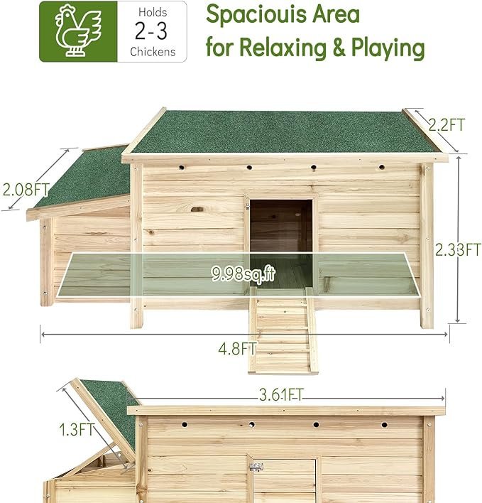 Cage à poules avec 2 poules et toit imperméable