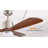 Frankin 52'' Solid Wood Ceiling Fan with LED Lights-772672697