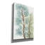«Tranquil Tree Tops I» par Tim O'toole, art mural sur toile-1514800788