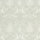 Pure Dove & Rose Wallpaper
