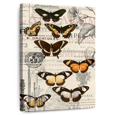 Collage rétro de papillons Brampt