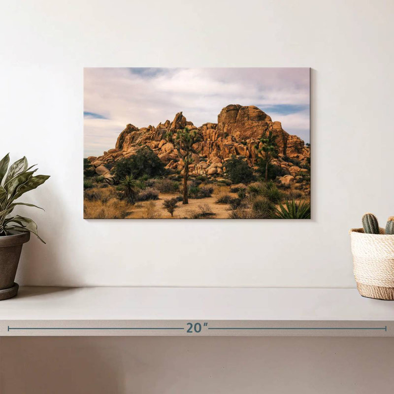 Nicci Joshua Tree, scène de désert, H 8 po x l 12 po