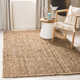 Erroll Pollux Machine Made Power Loom Jute Area Rug