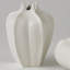 Star Fruit Vase-64402281
