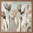 Blue And Tan Tulips