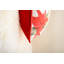 Square Pillow Cover & Insert