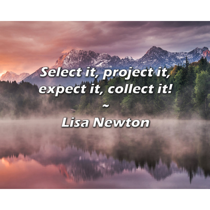 Citation de Lisa Newton: Sélectionnez-la, projetez-la, attendez-la, collectionnez-la!, H 15 po x l 18 po
