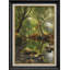 Emerald Woodland Stream avec roches-123385901-123385903