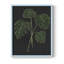 Simple Tropics I, reproduction encadrée - bois massif-1406976257-1406976256