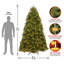 The Holiday Aisle® Newberry Spruce with PowerConnect Dual Color LED Lights-1079972950