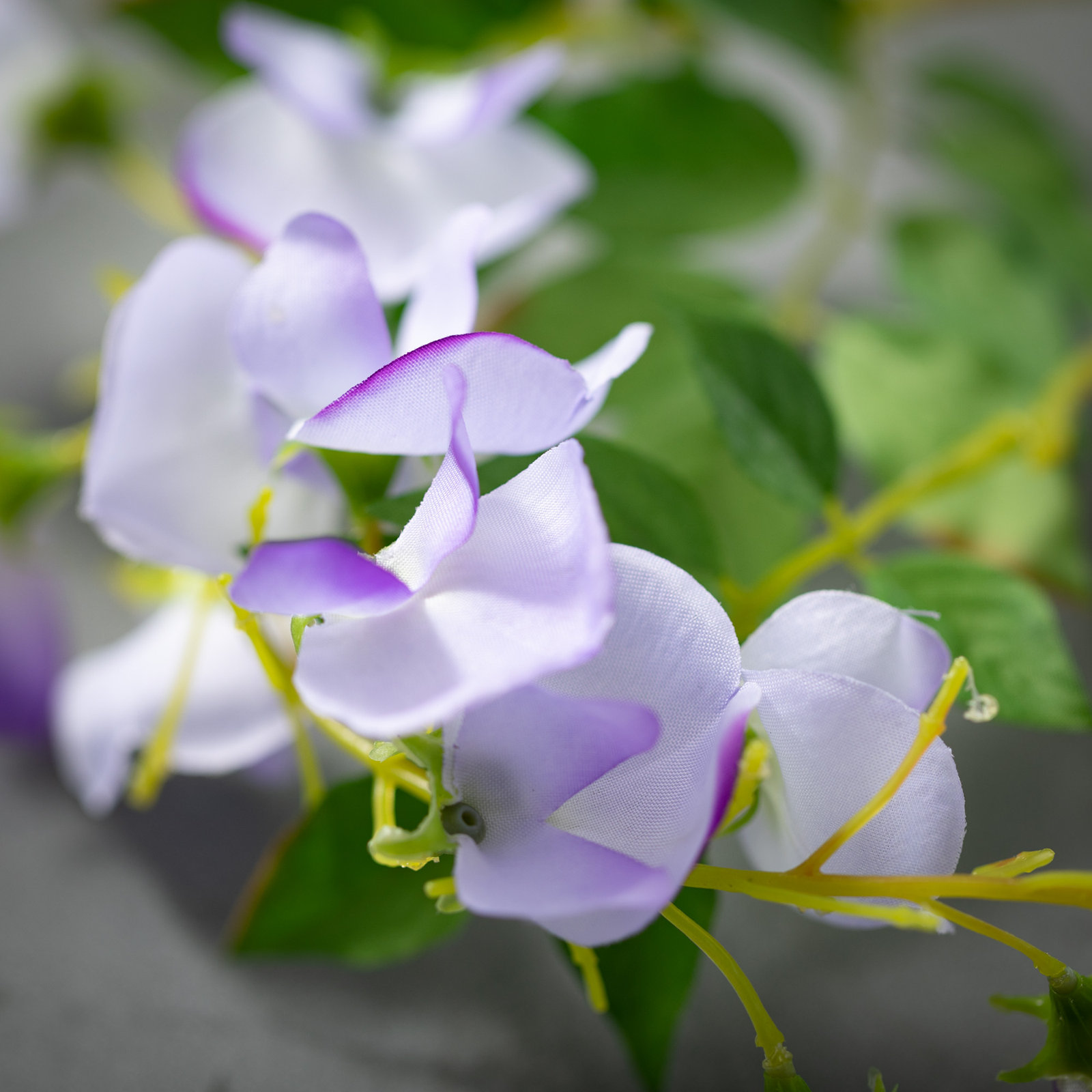 52" Precious Purple Wisteria