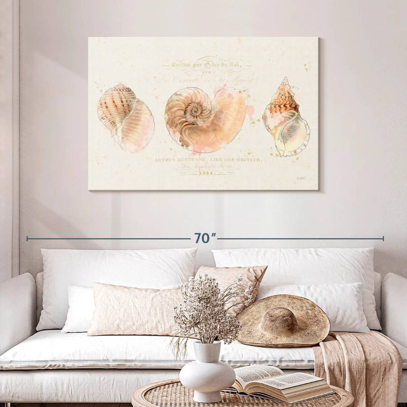Collection Aletra Pretty Shells I, H 30 po x l 45 po