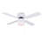 Ruggiano 42'' Ceiling Fan with Light Kit