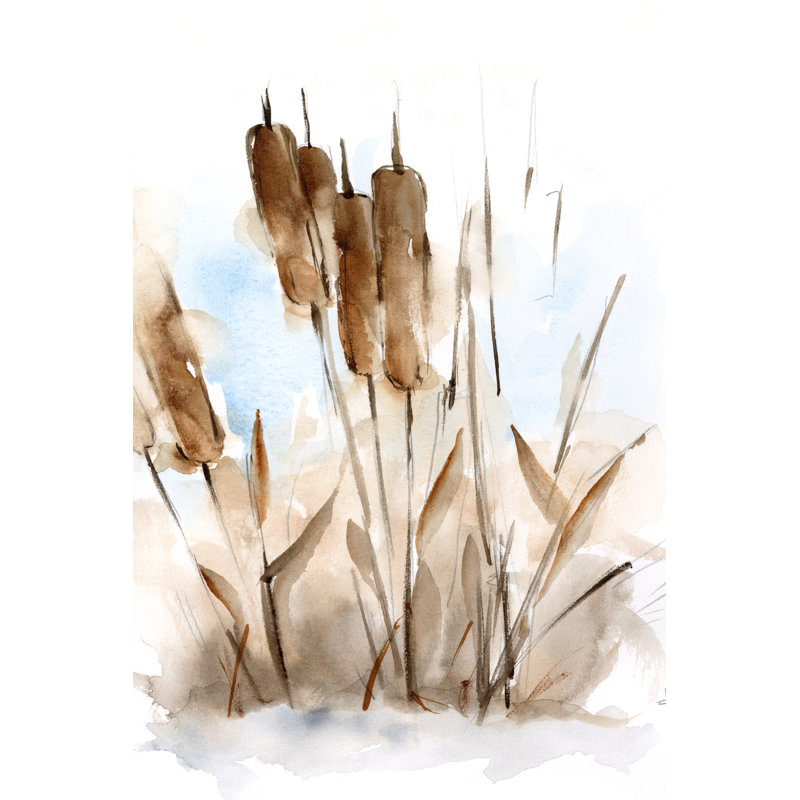 Watercolor Cattail Study I, H 12 po x l 8 po x P 1,25 po