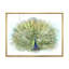 Paon, reproduction d'art sur toile-59709018-59709011