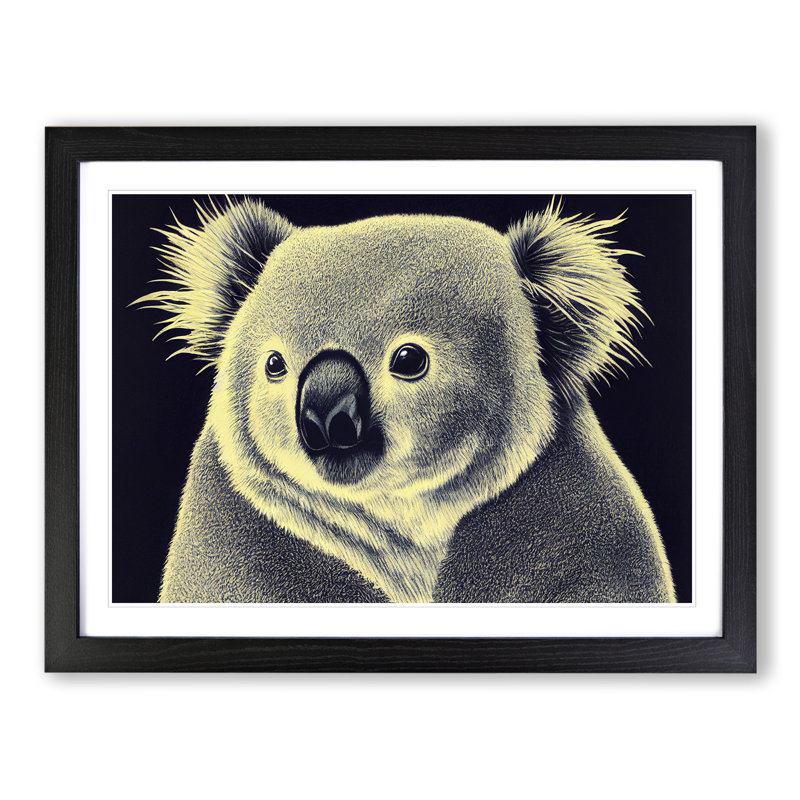 Beautiful Koala Bear - Single Picture Frame Print, Black Framed, 46cm H x 64cm W x 2cm D