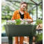 Aviezri Elevated Planter