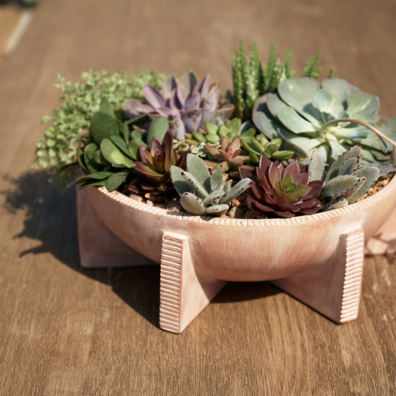 Edinburgh Handmade Planter